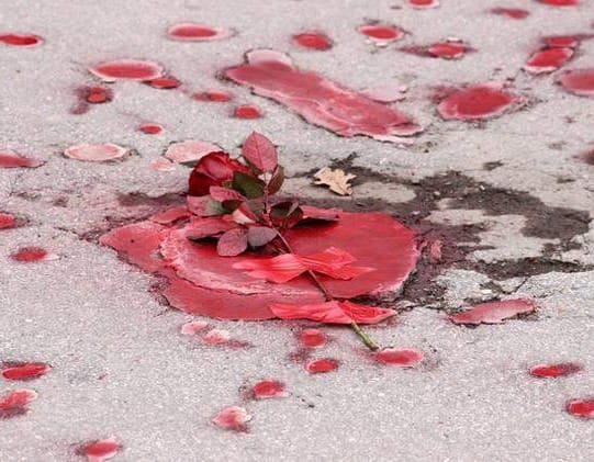 Contesti: Donne famose di Bosnia