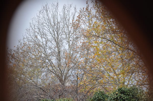 gledajuci bosna i hercegovina iz daleka